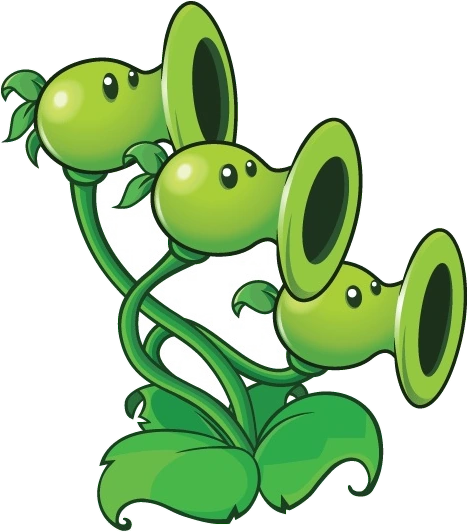 Member-at-Large